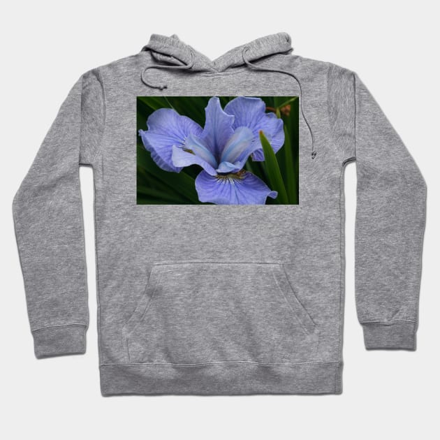 Iris Hoodie by Rob Johnson Photography